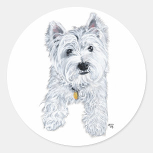 Adesivo Pequeno Westie Curioso