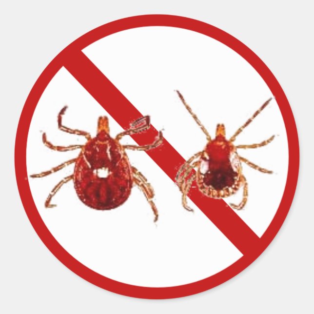 Adesivo Pequenos adesivos, Tique da Doença de Lyme (Branco (Frente)