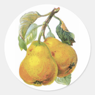Adesivo Peras Vintage