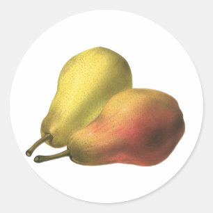 Adesivo Peras Vintage, Comidas Orgânicas, Frutas De Estrib