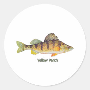Adesivo Perch Amarelo (com título)