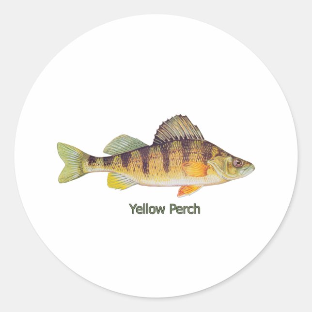 Adesivo Perch Amarelo (com título) (Frente)