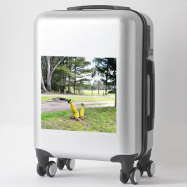 Adesivo Perdido no Vinheta do Jardim