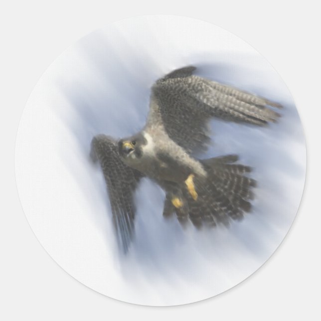 Adesivo Peregrine Falcon em Voo (Frente)