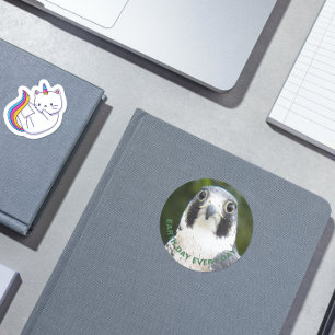 Adesivo Peregrine Falcon Photo Earth Day