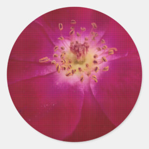 Adesivo Perfeição Petal: Arte de Padrão Petal Rosa verific