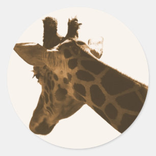Adesivo Perfil de Girafa de Reticulação