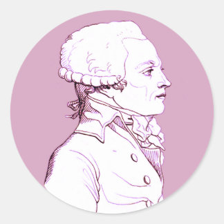 Adesivo perfil Robespierre em Rosa,
