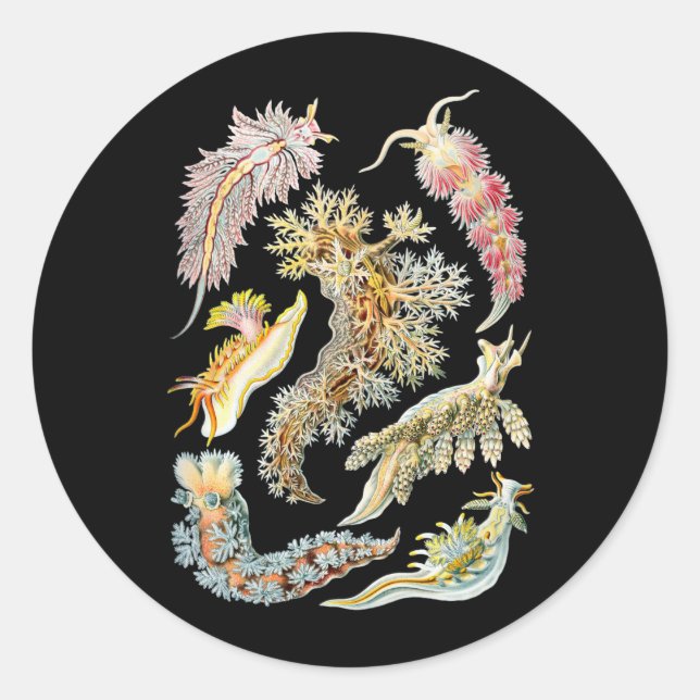 Adesivo Perfurações marítimas (Frente)