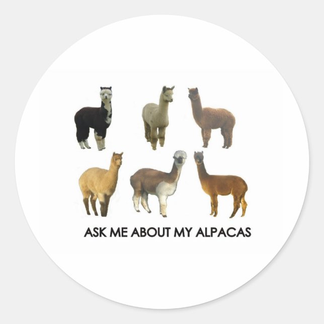Adesivo Pergunte-me sobre meus alpacas (Frente)