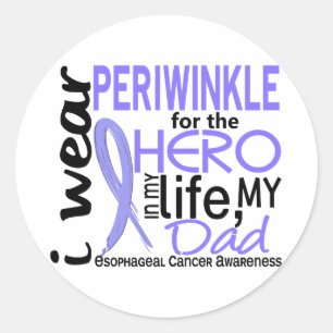 Adesivo Periwinkle Para O Cancer Esofágico Hero 2 Pai