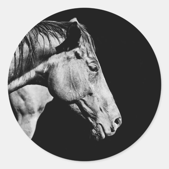 Adesivo perna do cavalo principal (Frente)