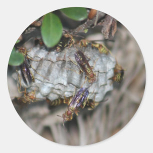 Adesivo Perseguidor Jackers #2