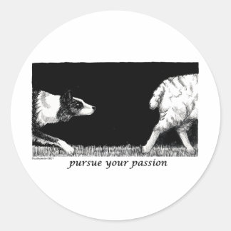 Adesivo Persiga sua paixão Border Collie