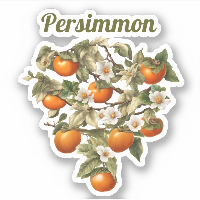 Adesivo Persimmons (Frente)