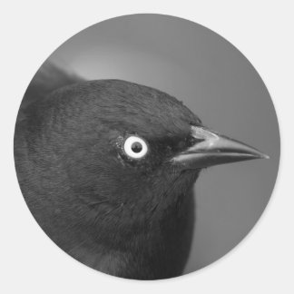 Adesivo Personagem de Alfred Hitchcock