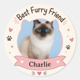 Adesivo Personalizado com Foto e Nome de Gato
