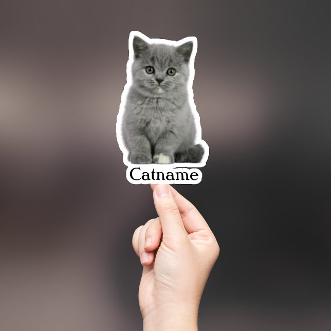 Adesivo Personalizado para Pet, Vinil Recortado à  (Criador carregado)
