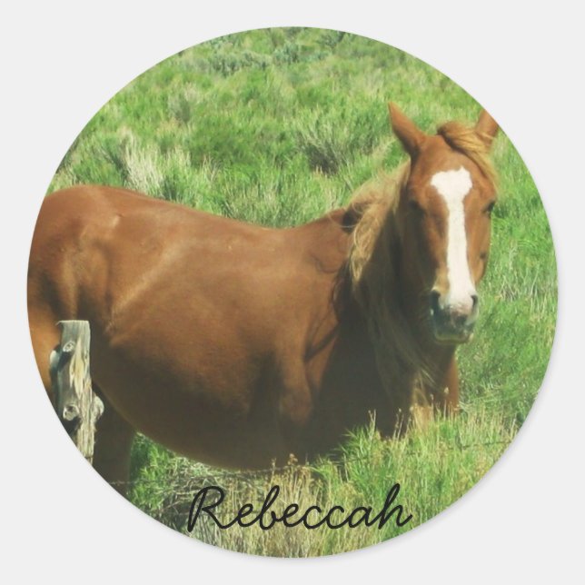 Adesivo Personalizar Cavalo de Nome (Frente)