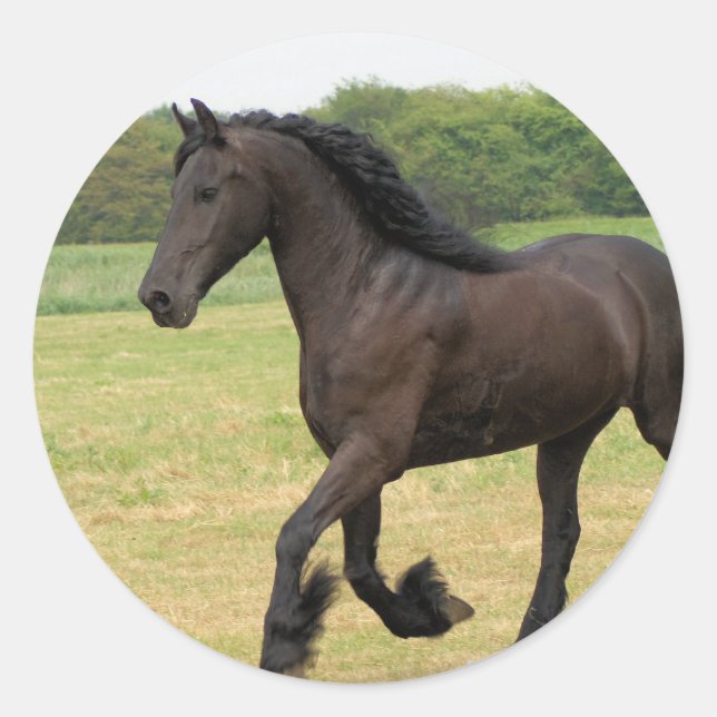 Adesivo Personalizar produto (Frente)