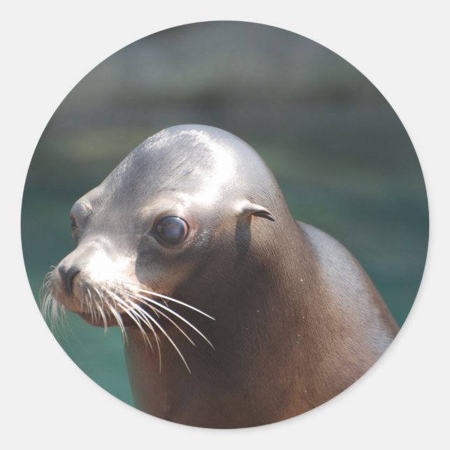 Adesivo Personalizar produto (Frente)