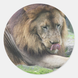 Adesivo Personalizar produto