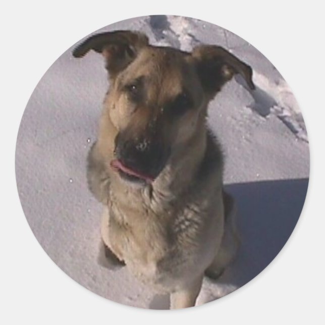 Adesivo personalizável (Frente)