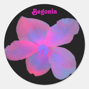 Adesivo Personalizável de Begonia Fluorescente