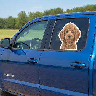 Adesivo Personalized Pet Photo Car Window Sticker