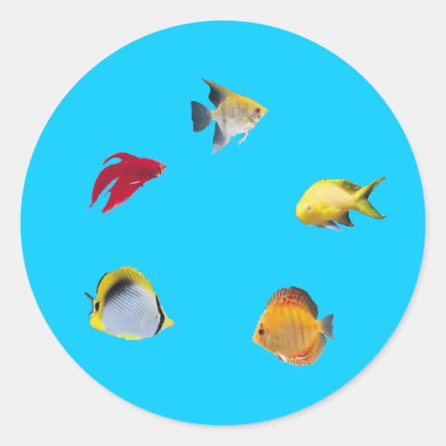 Adesivo Pesca (Frente)