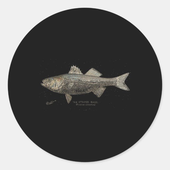 Adesivo Pesca B Listrada  (Frente)
