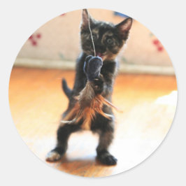 Adesivo pesca com gatinho