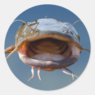 Adesivo Pesca da Boca Grande