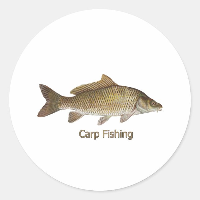 Adesivo Pesca De Carpas (Frente)