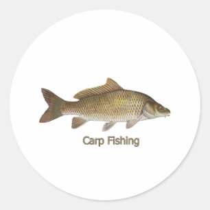 Adesivo Pesca De Carpas