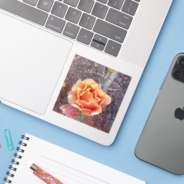 Adesivo Pêssego bonito, Pêssego Rápido (Notebook com iPhone)