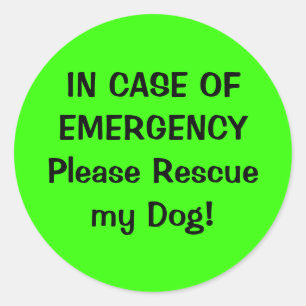 Adesivo Pet Alert Sticker