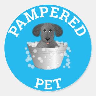 Adesivo Pet Care Business Stickers