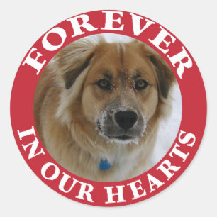 Adesivo Pet Memorial Forever Holiday Red