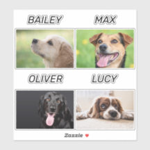 Pet Personalizado de Foto e Nome do Cão
