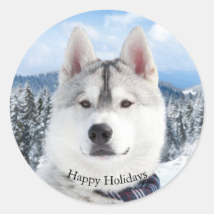 Adesivo Pet Photo Happy Holidays Sticker