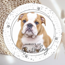 Pet Photo Silver Stars Dog Aniversário