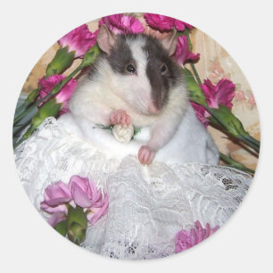 Adesivo Pet Rat Noiva de Trudy Stickers