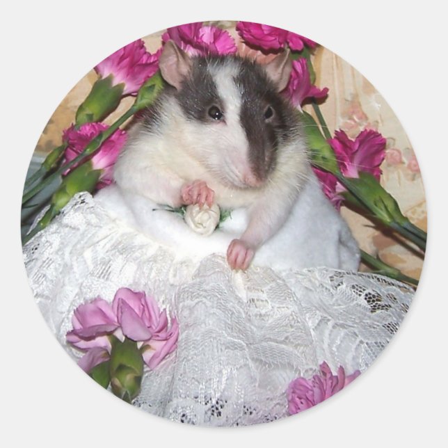 Adesivo Pet Rat Noiva Trudy Stickers (Frente)