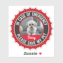 Adesivo Pet Safety Alert with Photo Name Editable Cors (Pe