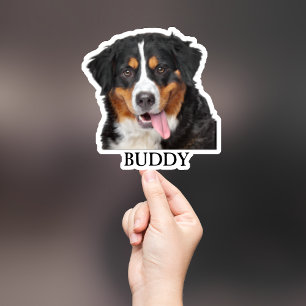 Adesivo Pet Sticker Personalizado, Dog Sticker Personaliza