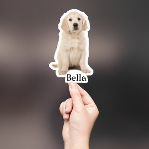 Adesivo Pet Sticker Personalizado, Dog Sticker Personaliza