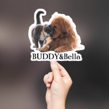 Pet Sticker Personalizado, Dog Sticker Personaliza