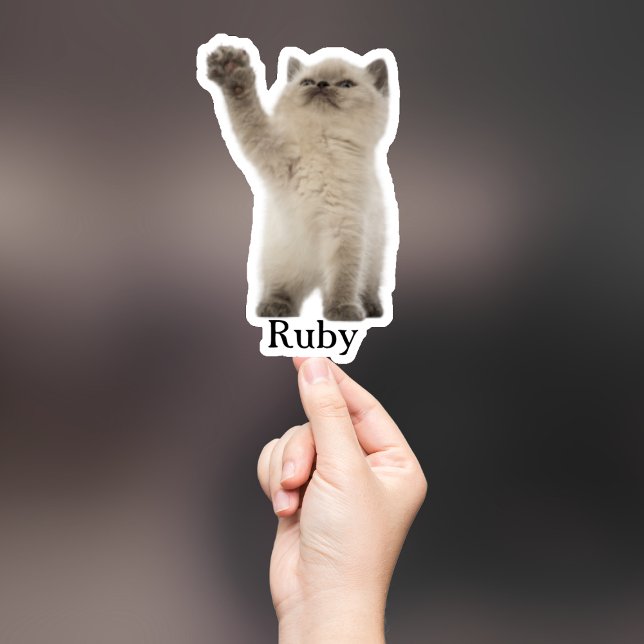 Adesivo Pet Sticker Personalizado, Dog Sticker Personaliza (Criador carregado)