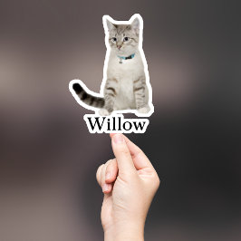 Adesivo Pet Sticker Personalizado, Dog Sticker Personaliza